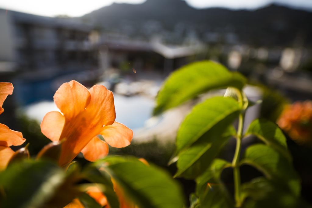 Genc Hotel Bodrum Exteriér fotografie